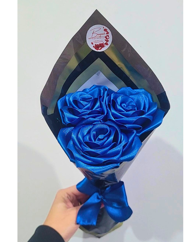 fotos site buque (14)