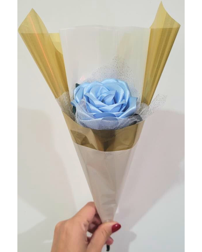 fotos site buque (24)