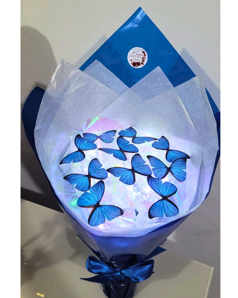 fotos site buque (100)